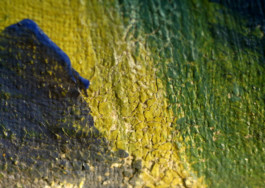 Ernst Ludwig Kirchners »Badende im Raum«